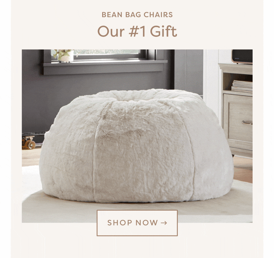 BEAN BAG CHAIRS, OUR #1 GIFT. SHOP NOW