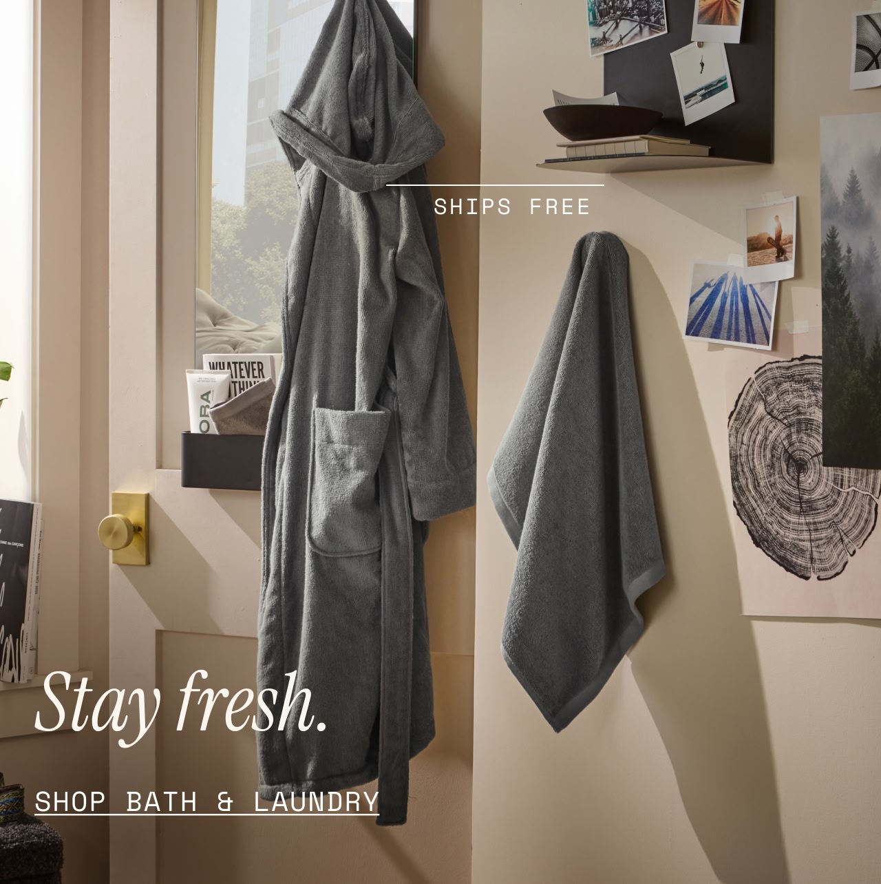 Shop Bath & laundry