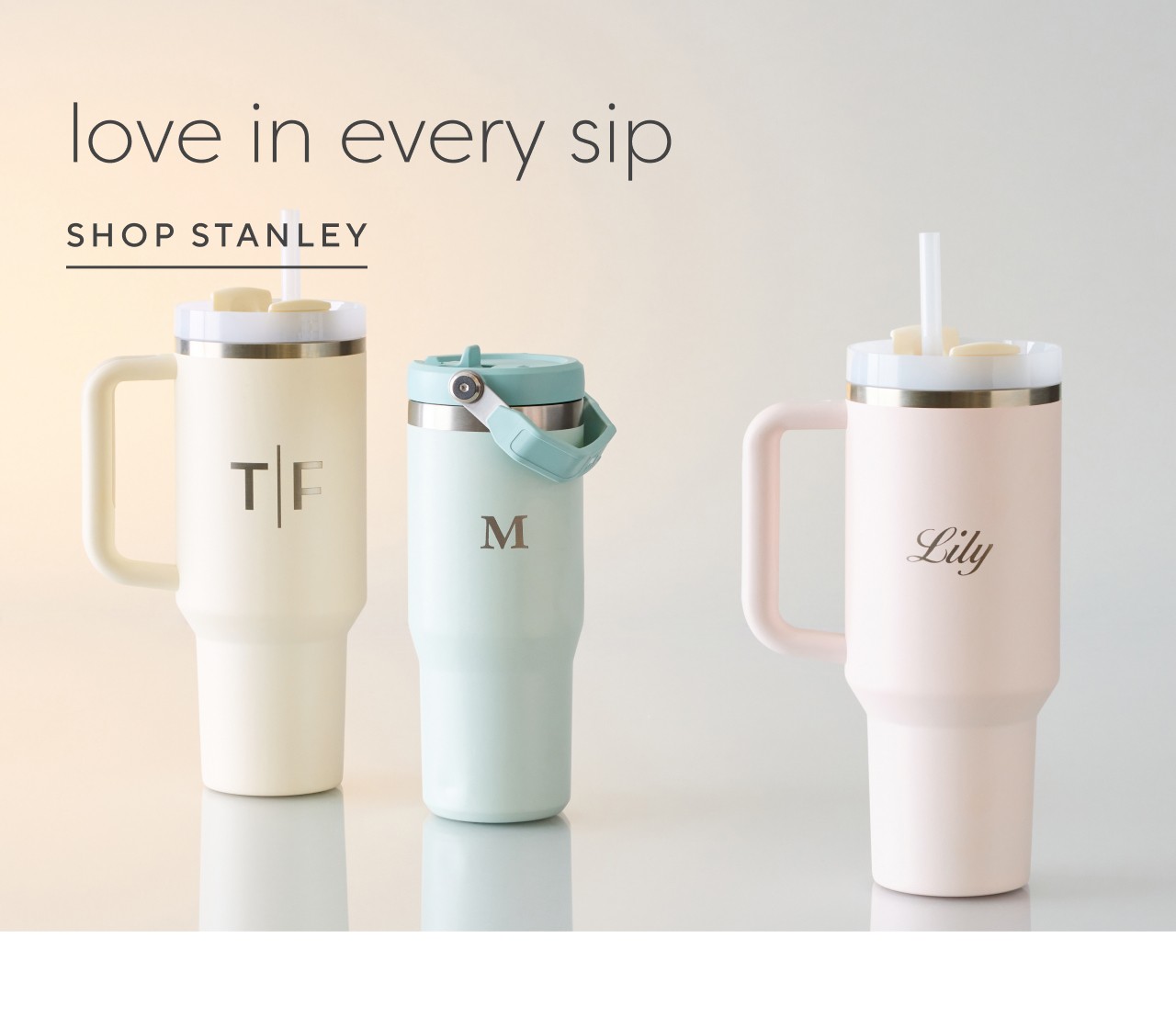 Shop stanley