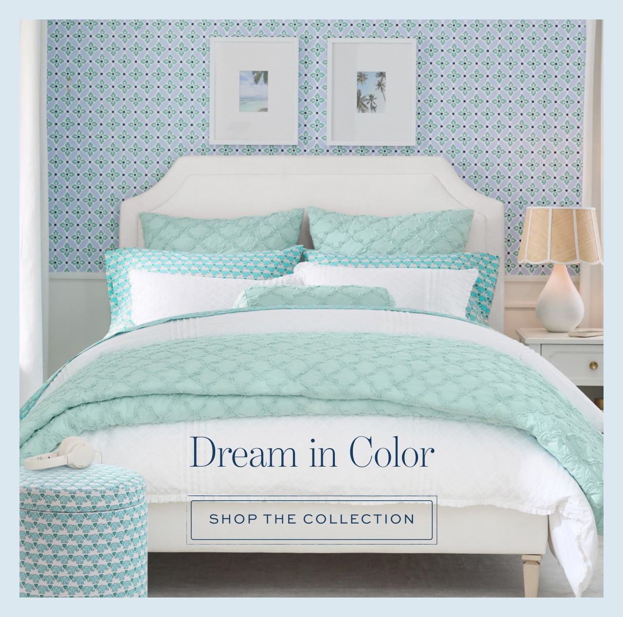 Dream in color