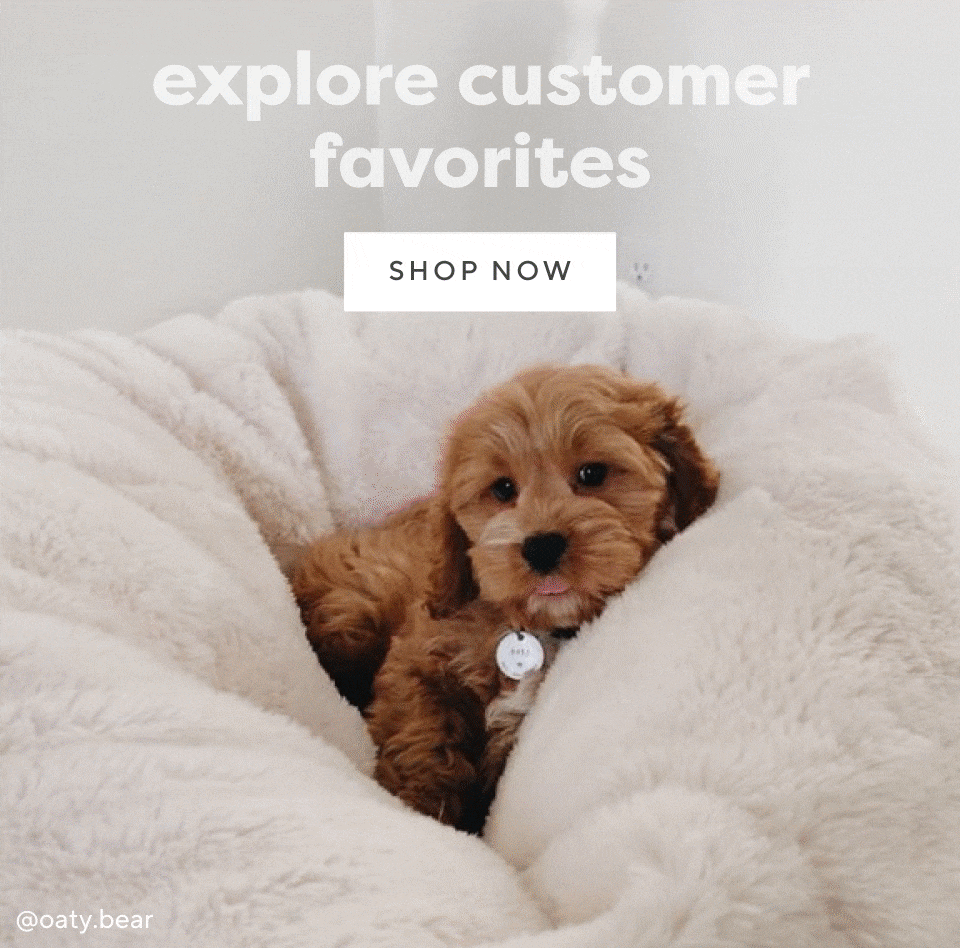 Explore customer favorites