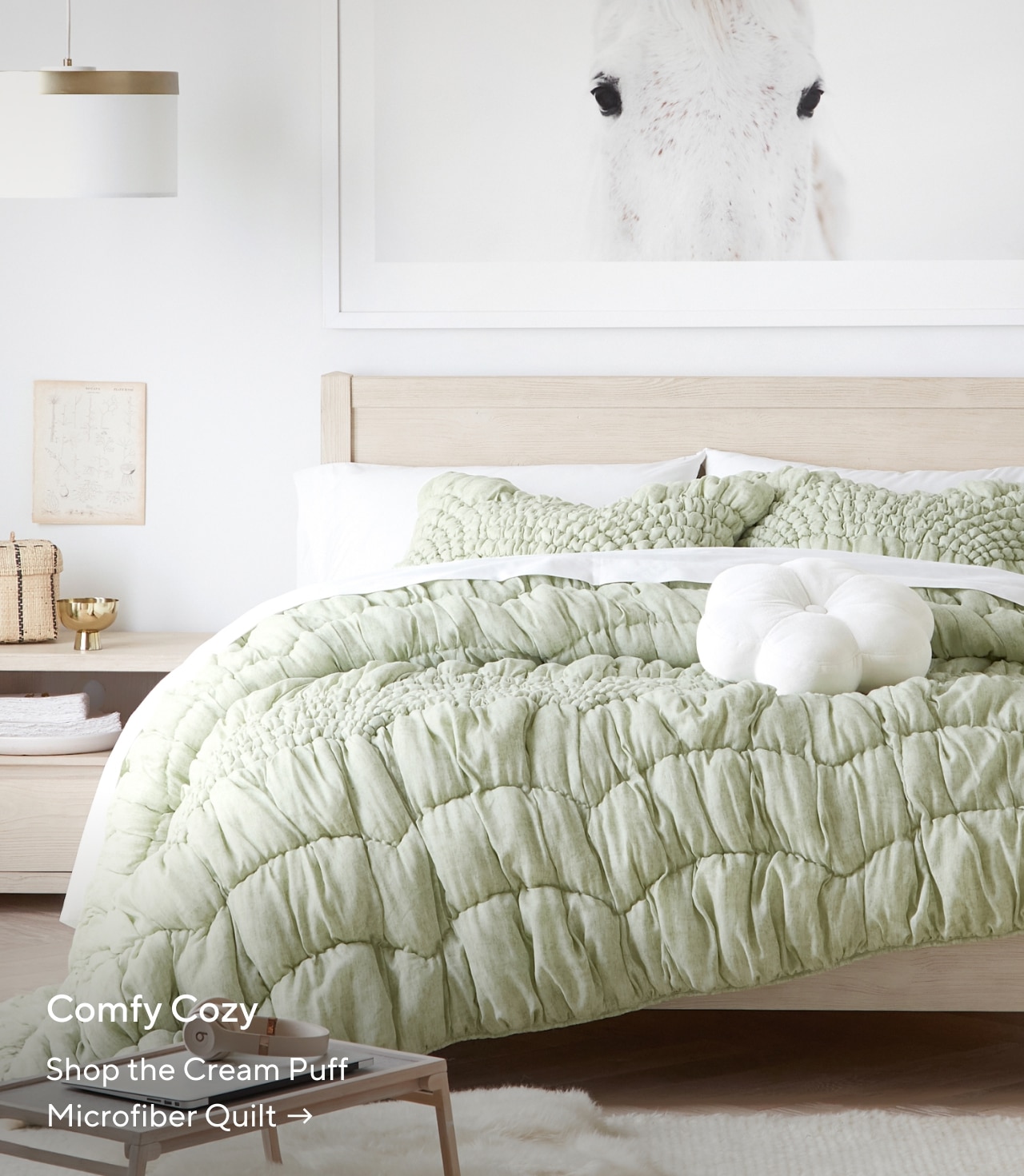 Comfy Cozy