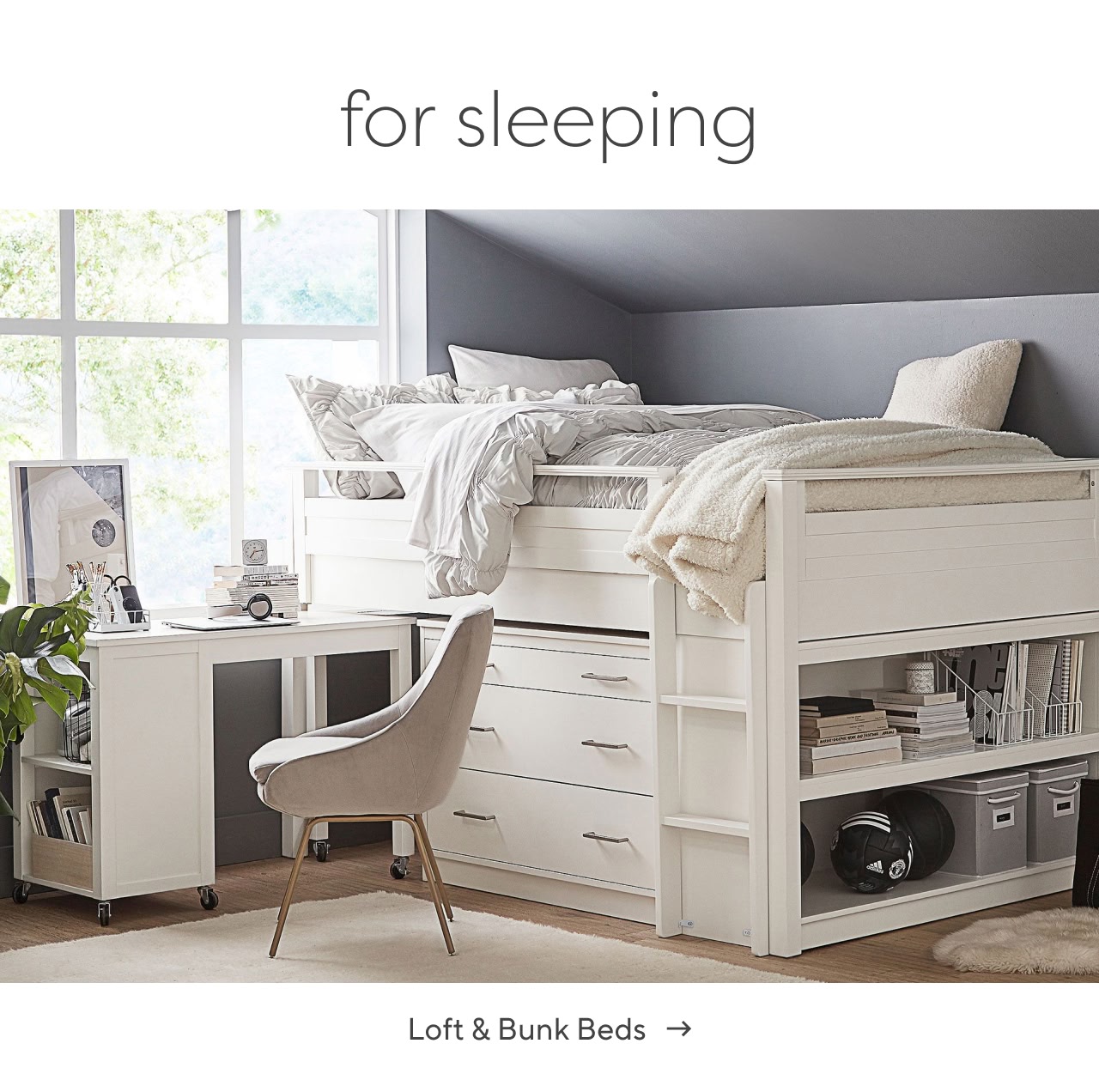 Loft and bunk beds