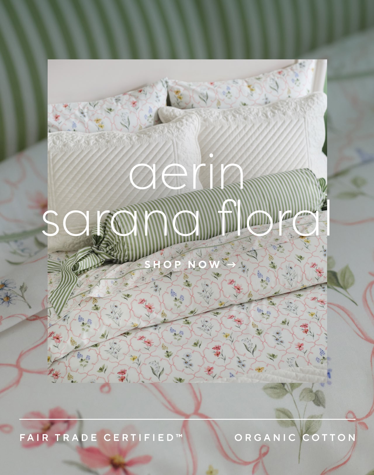 Aerin sarana floral