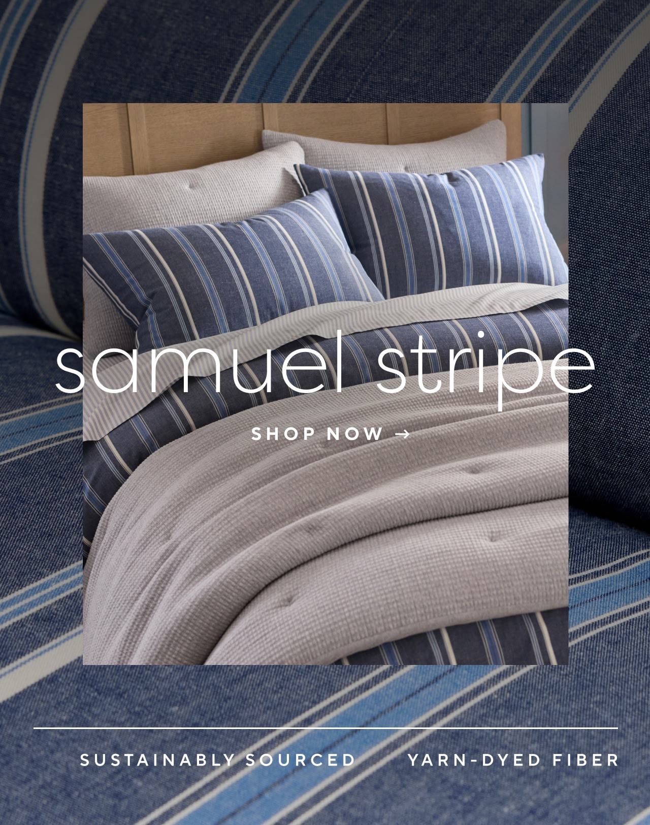 Samuel stripe