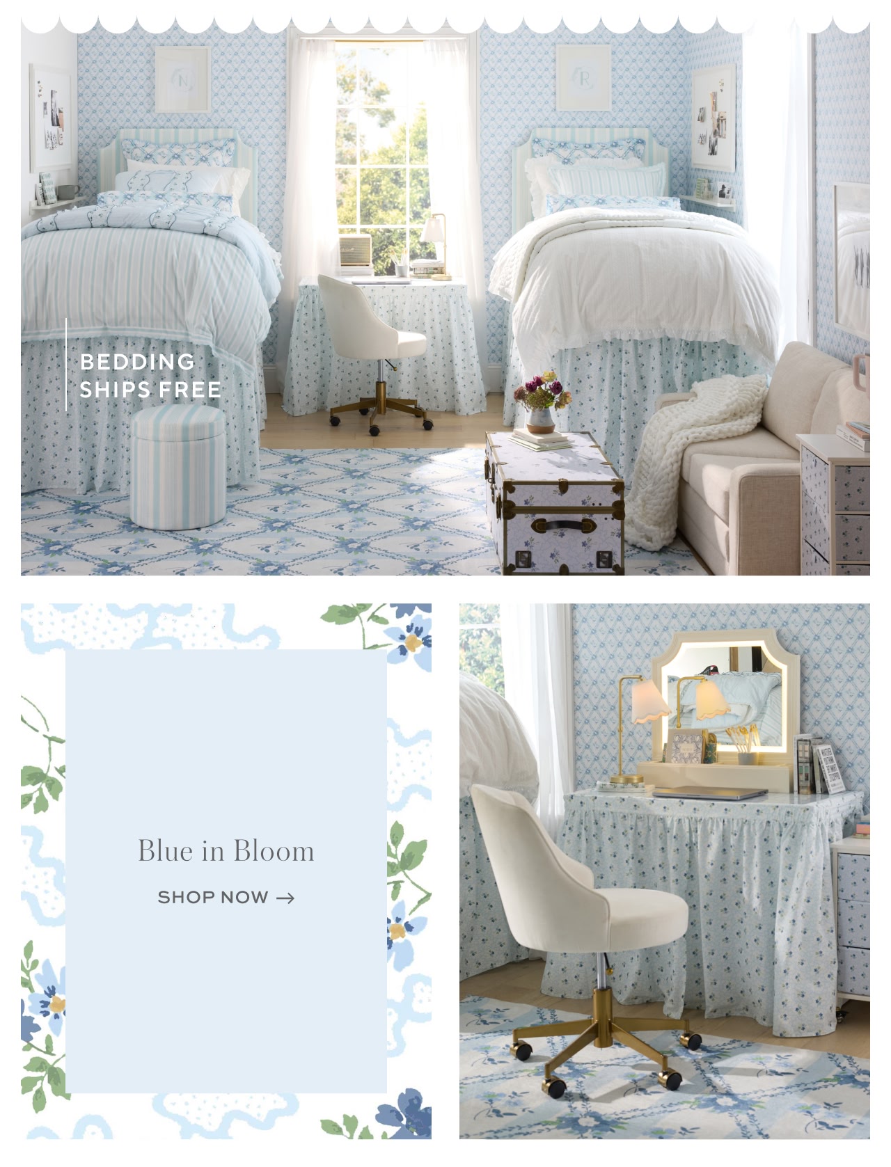 Blue in bloom